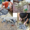 3D Plastikowy model dinozaura do wydobycia z gliny - Velociraptor [13180000406]